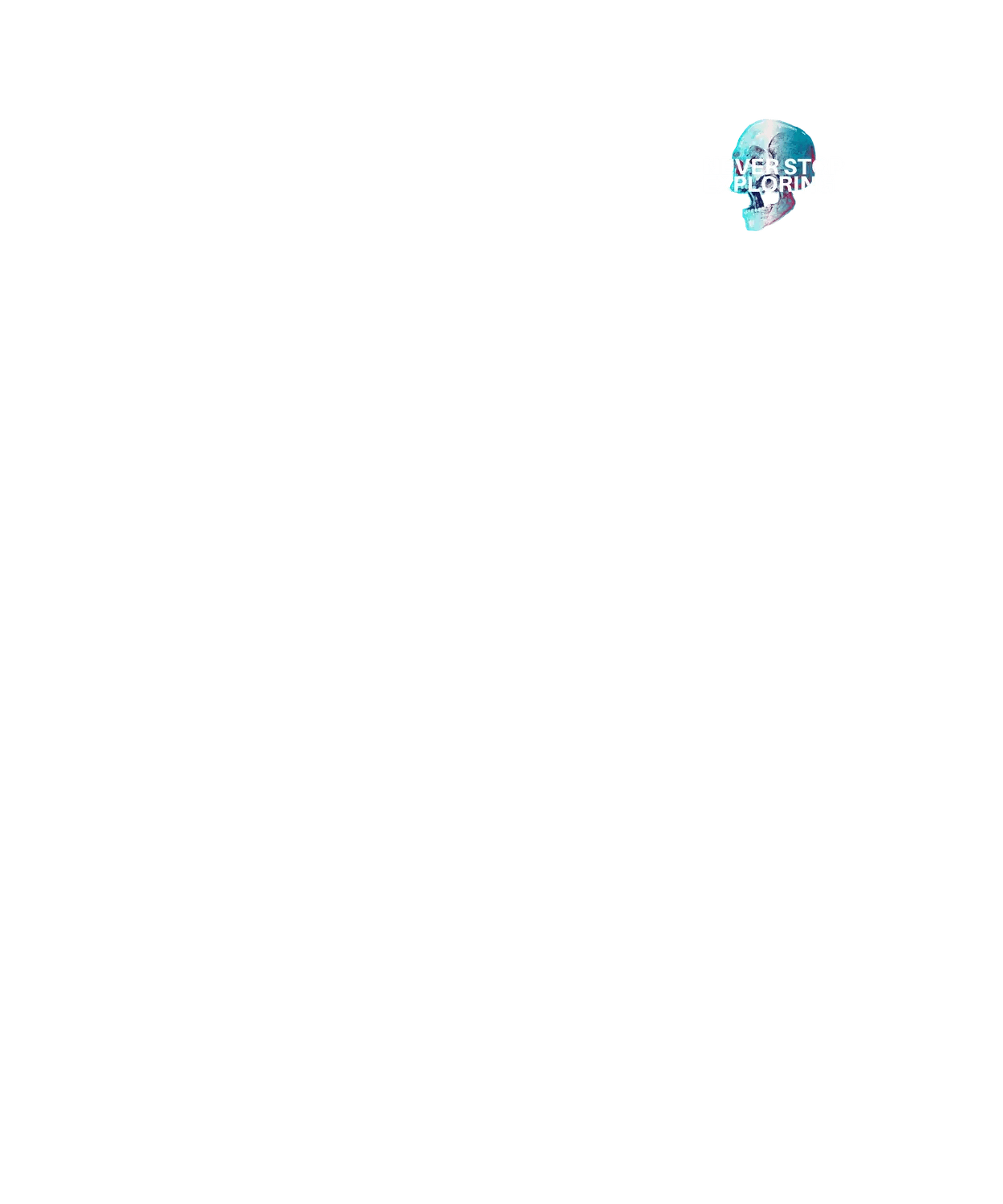 Adventure Explorer - DTF Ready to Press (original)