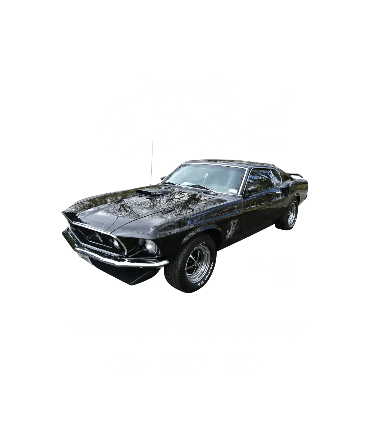 Borcelle Apparel Mustang - DTF Ready to Press (original)