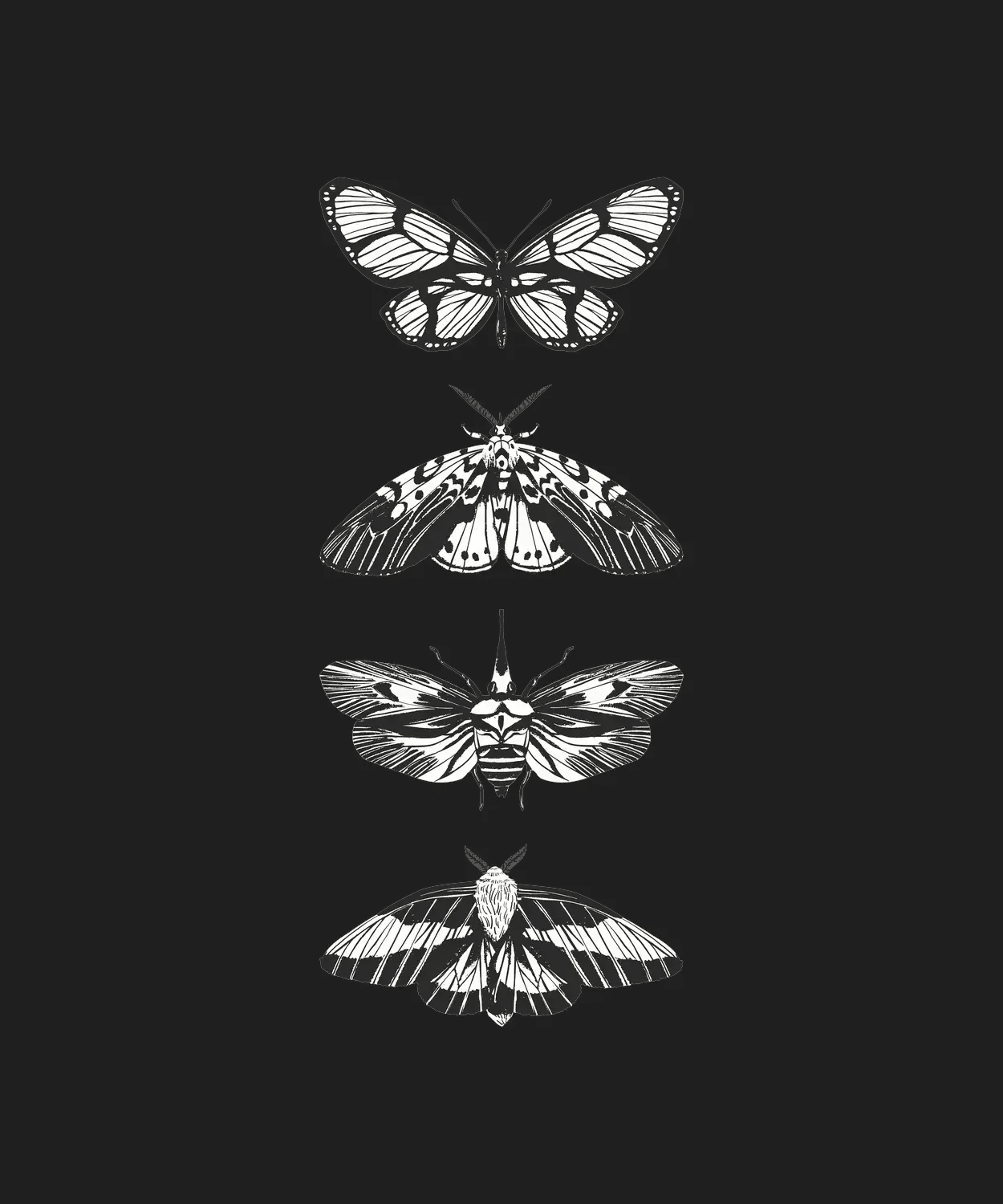 Butterfly Collection - DTF Ready to Press (black_bg)