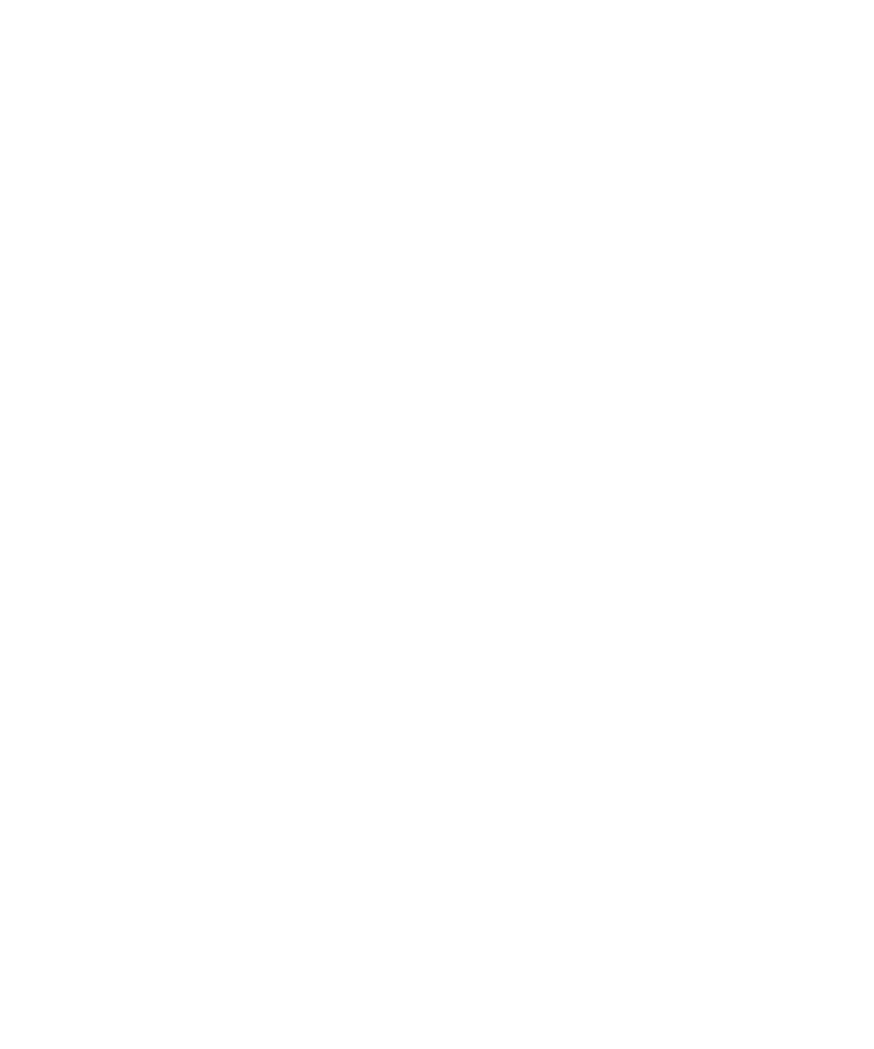Chinese Dragon - DTF Ready to Press (original)