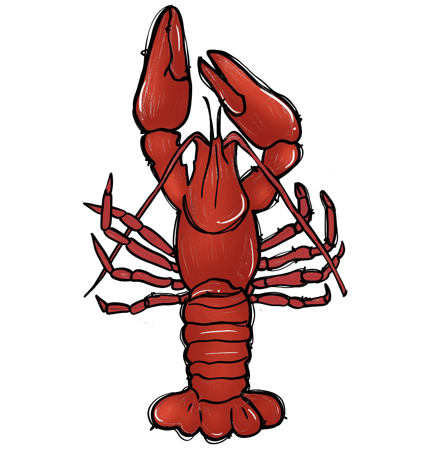Lobster Graphic - DTF Ready to Press - Heat Press Transfer