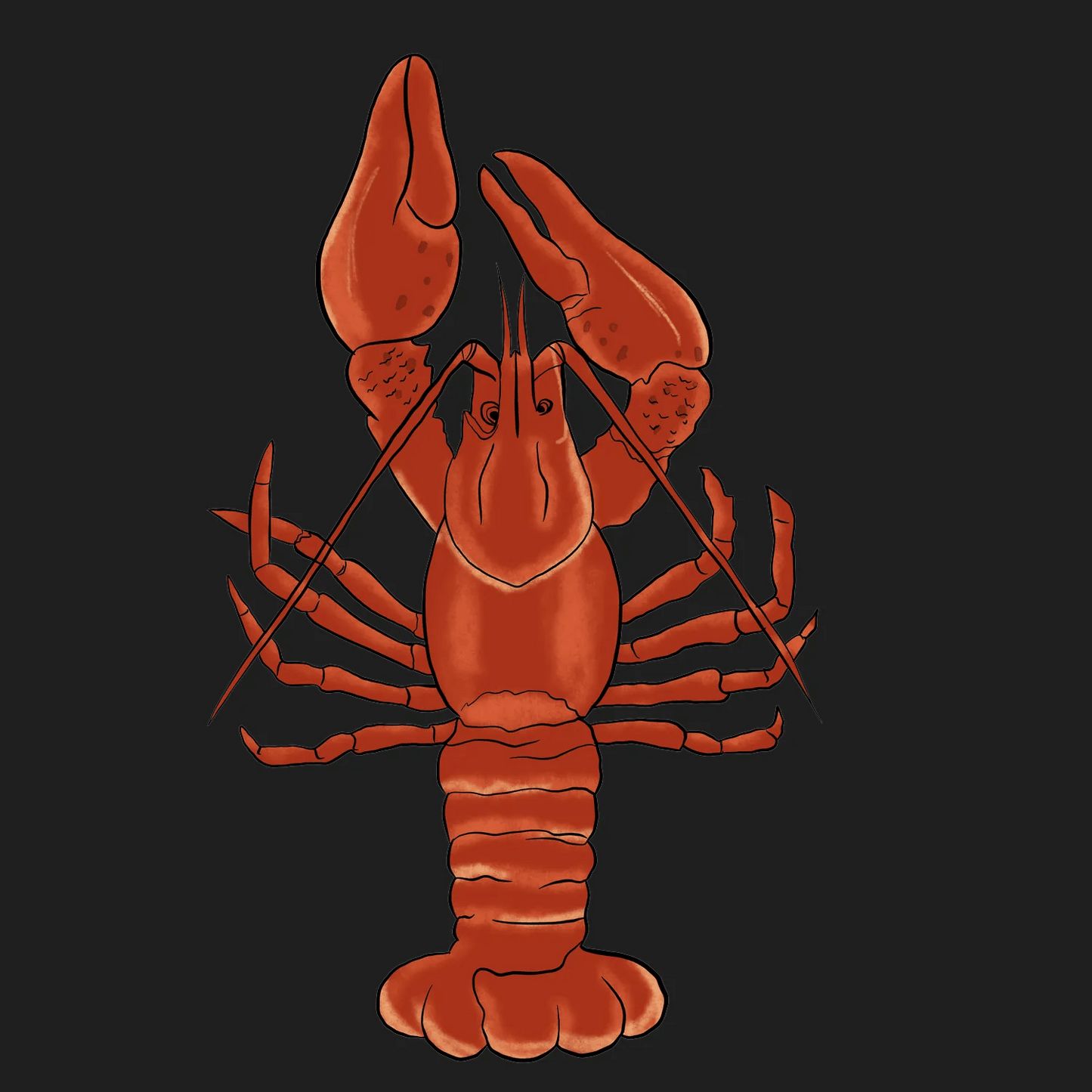 Lobster Illustration - DTF Ready to Press - Heat Press Transfer
