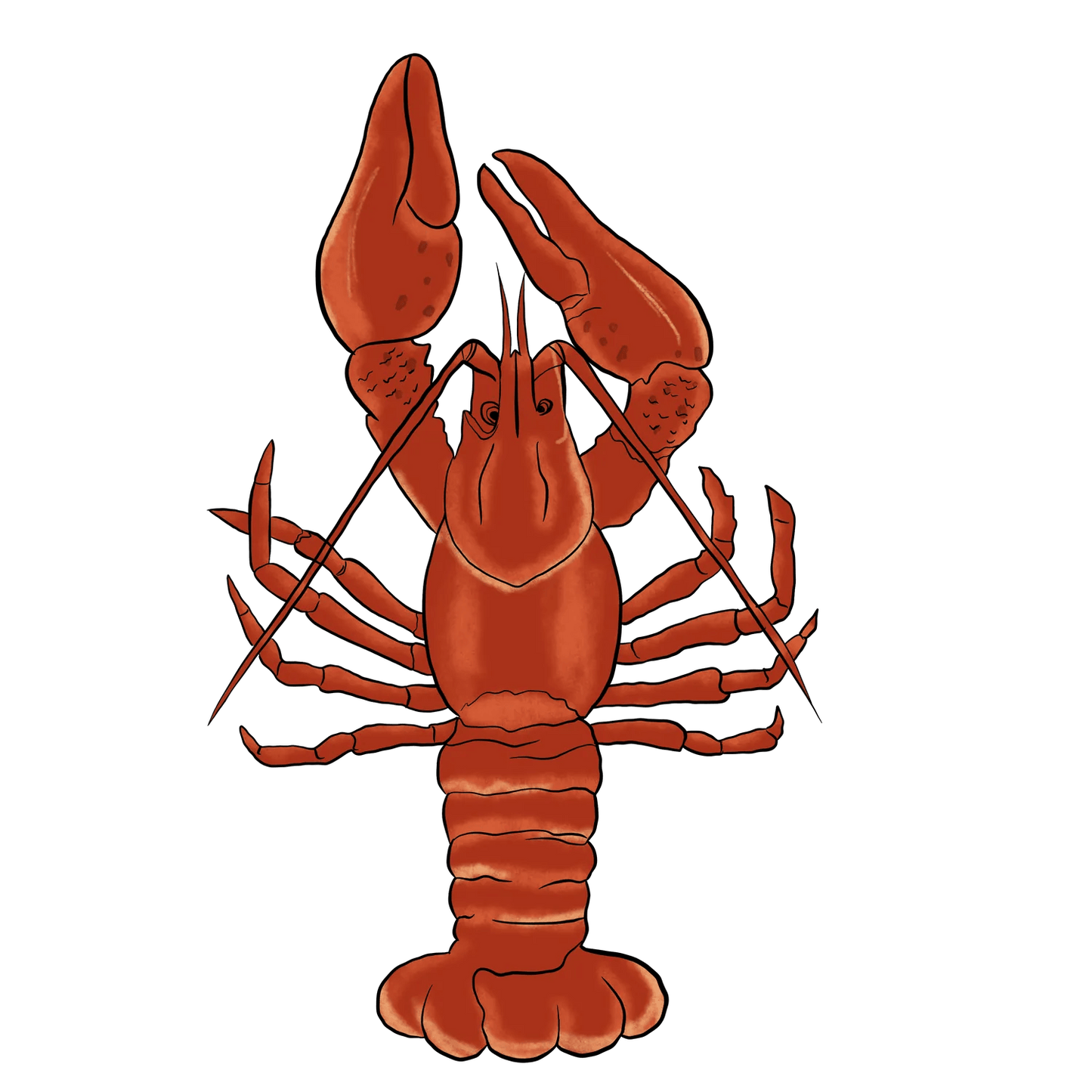 Lobster Illustration - DTF Ready to Press - Heat Press Transfer