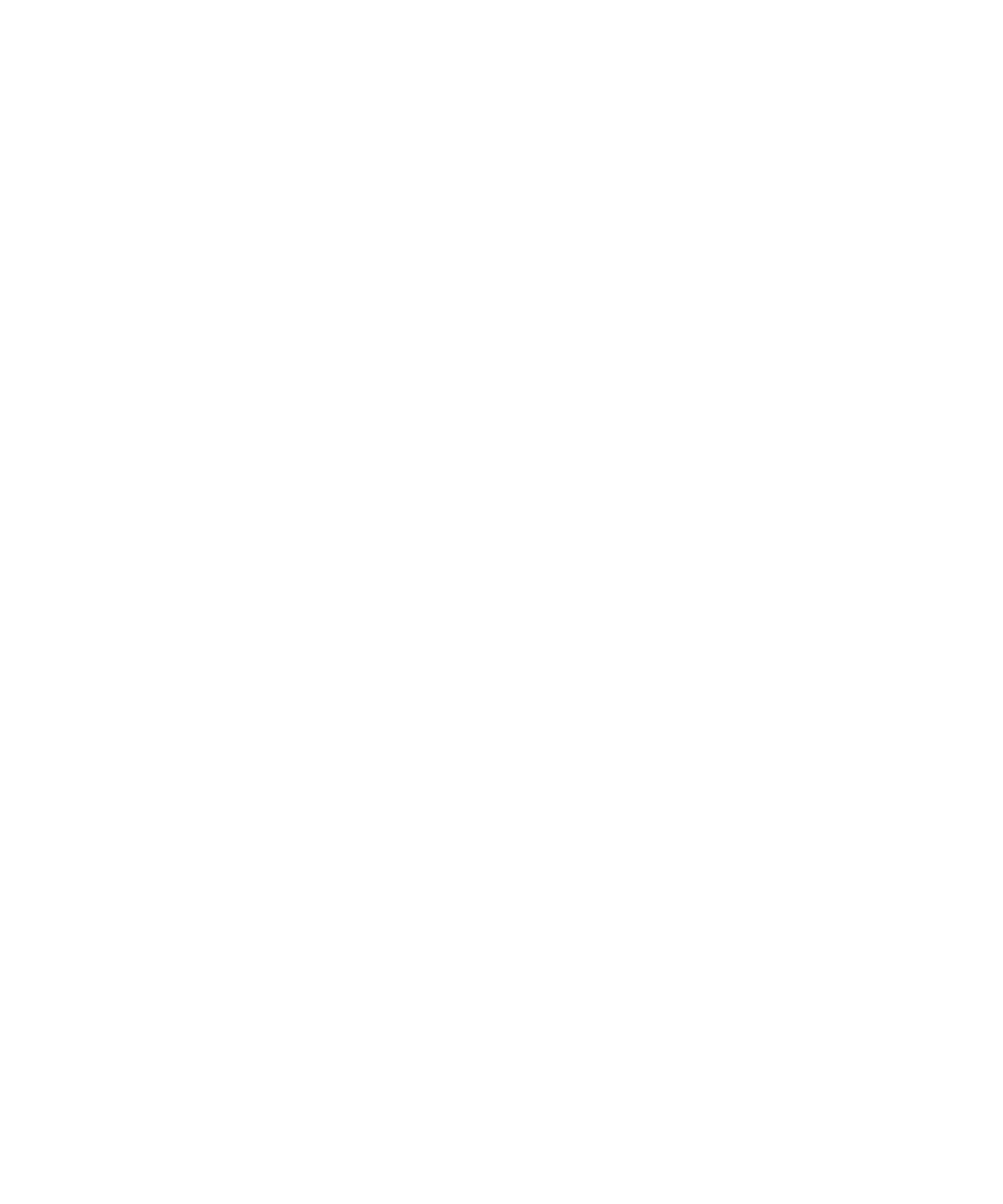 Snail Lover Shirt - DTF Ready to Press (original)