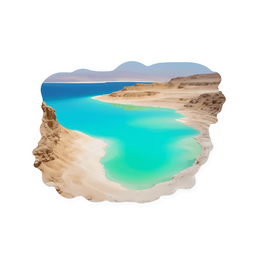 Beach Paradise - Sticker - Heat Press Transfer
