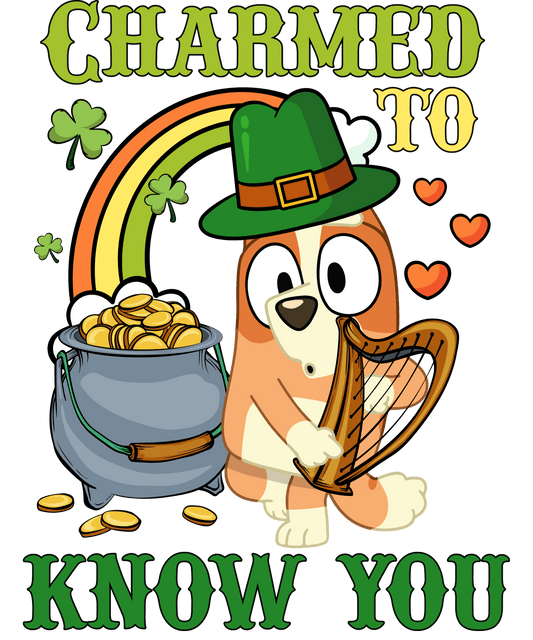 Charmed To Know You Patrick's Day Bluey - DTF Ready To Press - Heat Press Transfer