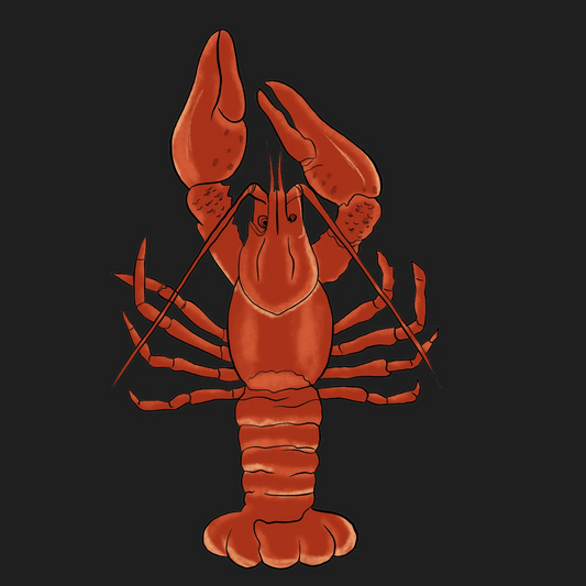 Lobster Illustration - DTF Ready to Press - Heat Press Transfer