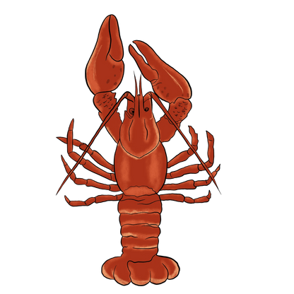 Lobster Illustration - DTF Ready to Press - Heat Press Transfer