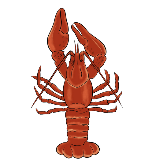Lobster Illustration - DTF Ready to Press - Heat Press Transfer