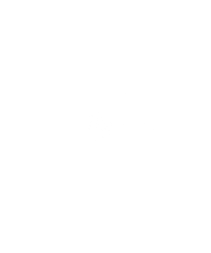 Peace Dove - DTF Ready to Press - Heat Press Transfer