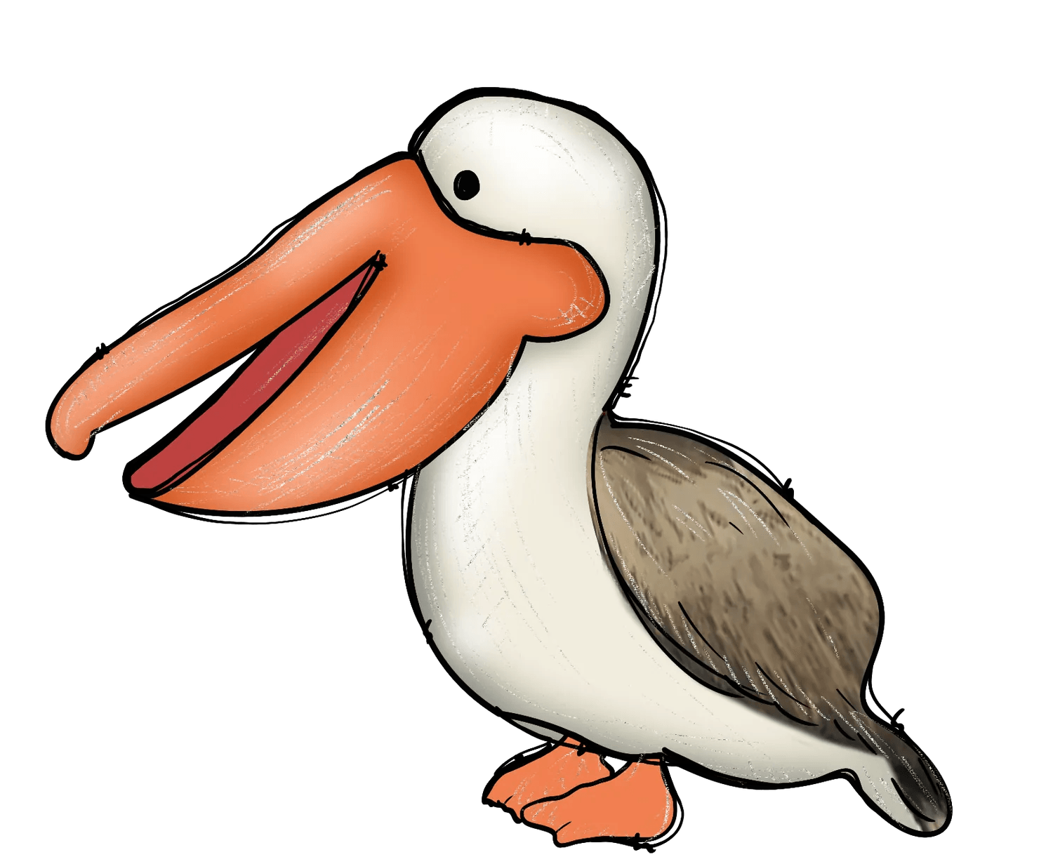 Pelican Illustration - DTF Ready to Press - Heat Press Transfer